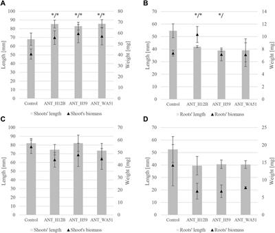 Application of Psychrotolerant Antarctic Bacteria and Their Metabolites as Efficient Plant Growth Promoting Agents